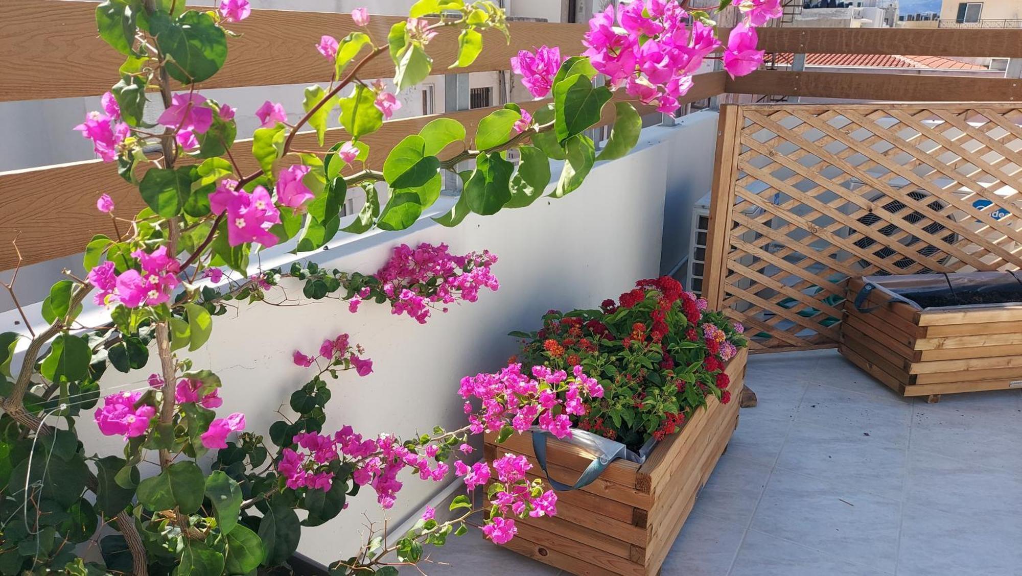 The Little Big Apartment In The Heart Of Heraklion Zewnętrze zdjęcie